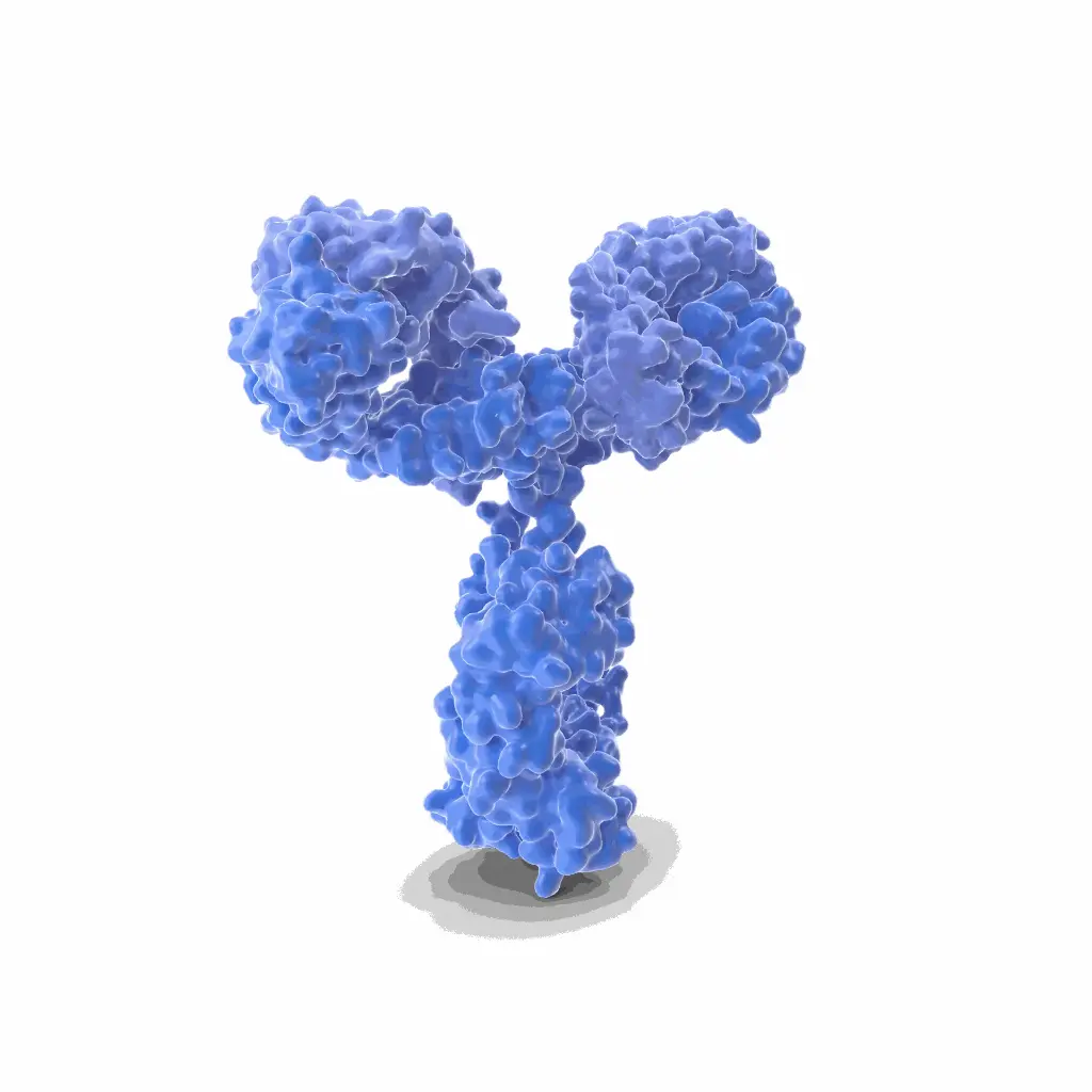 Gentaur RedPE Monoclonal Antibody