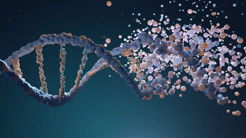 From DNA to Chromosomal Mutations: Foundations of Medical Genetics